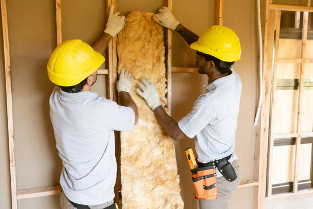 Best Insulation for New Construction  in USA